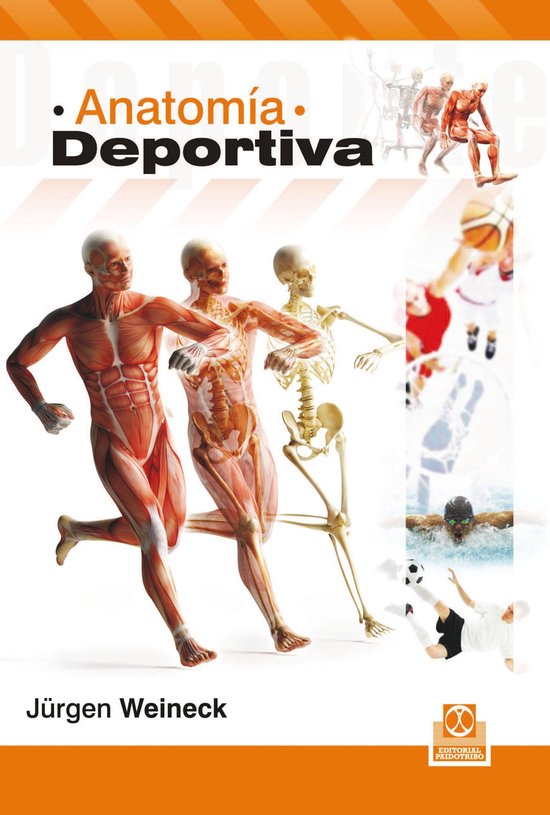 Anatomía deportiva - cover