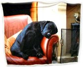 Plaid zwarte labrador op bank thema dieren cadeaus Labradors kado
