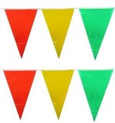 Vlaggenlijn Carnaval rood/geel/groen - 20 meter | Plastic