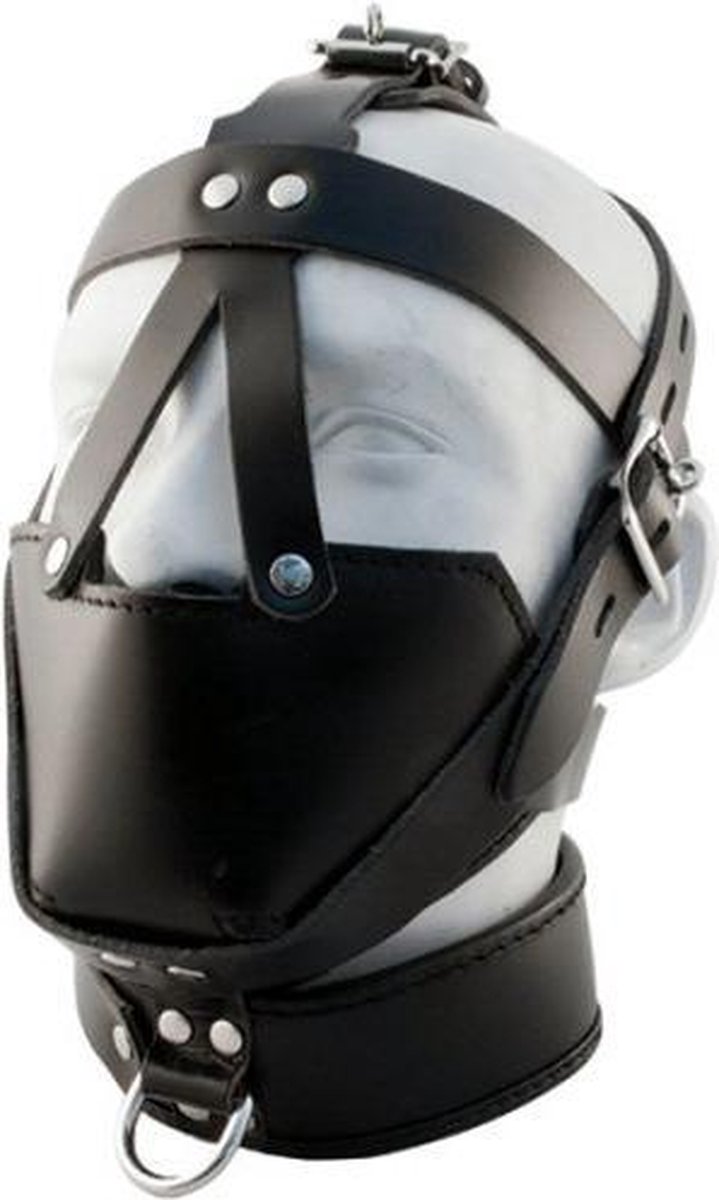 MisterB Muzzle Head Harness
