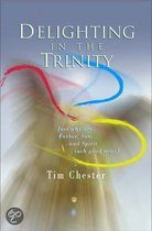 Delighting In The Trinity