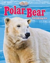 Built for Cold: Arctic Animals- Polar Bear