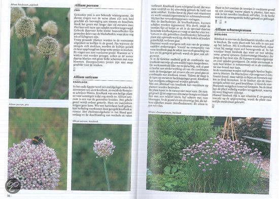 Geillustreerde kruiden encyclopedie