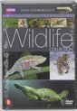 Wildlife Collection