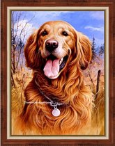 Diamond Painting Golden Retriever AZ-1526 30 x 40 cm