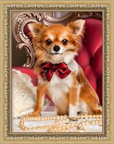 Diamond Painting Chihuahua met strikje    30x40