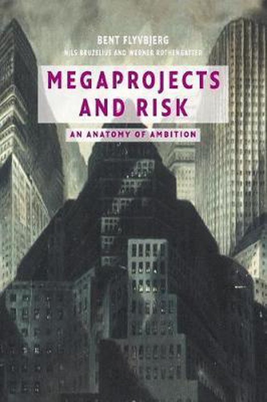Megaprojects & Risk