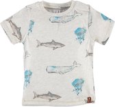 Babyface Jongens T-shirt - Grijs Melee - Maat 92