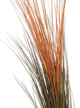Europalms kunstplant gras Reed grass, light brown,  127cm