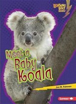 Meet a Baby Koala Meet a Baby Koala