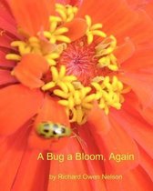 A Bug a Bloom, Again