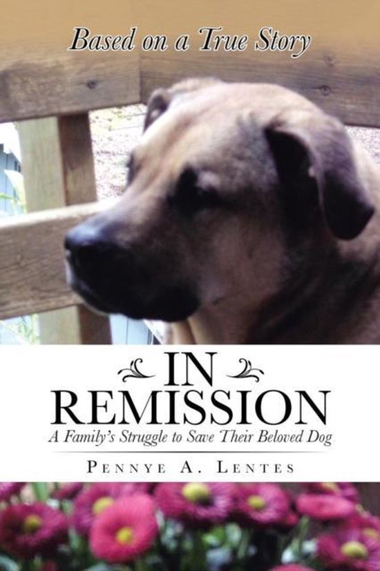 In Remission - cover
