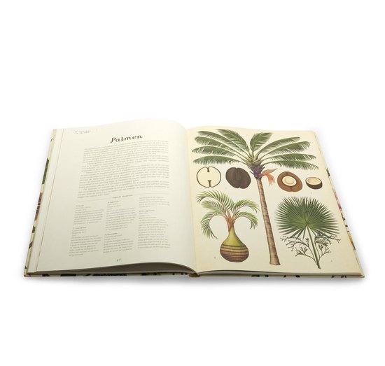 Thumbnail van een extra afbeelding van het spel Terra Lannoo Het plantenboek. 8+