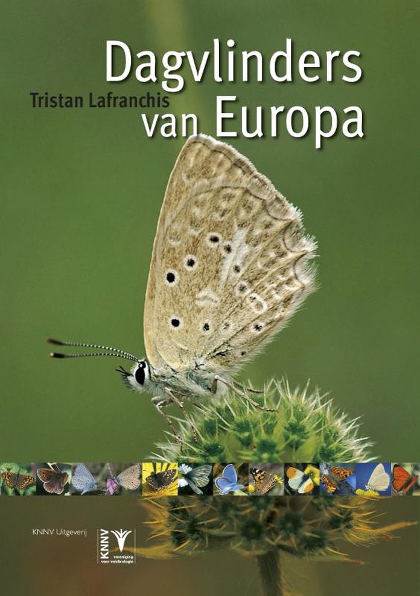 Omslag van Dagvlinders van Europa