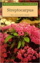 Streptocarpus
