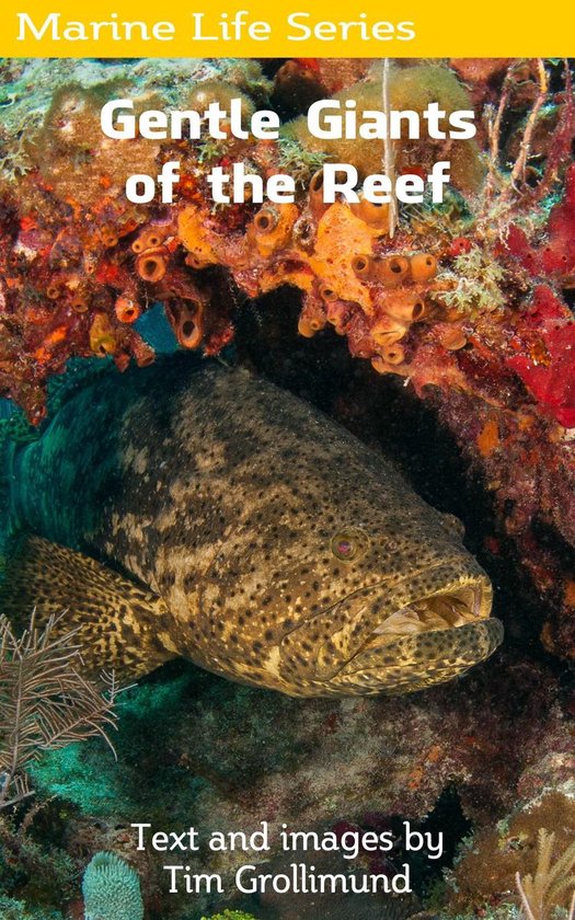 Marine Life 4 - Goliath Grouper... Gentle Giants of the Reef - cover