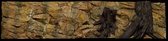Aquarium-Terrarium achterwand type Root 200*50 in 2 delen
