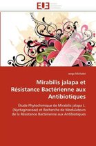Mirabilis jalapa et Résistance Bactérienne aux Antibiotiques