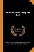 Musk-Ox, Bison, Sheep and Goat