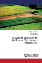 Recurrent Selection in Safflower (Carthamus Tintorius L)