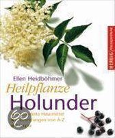 Heilpflanze Holunder