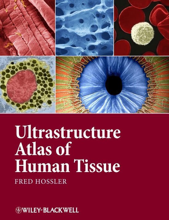 Ultrastructure Atlas of Human Tissues - cover