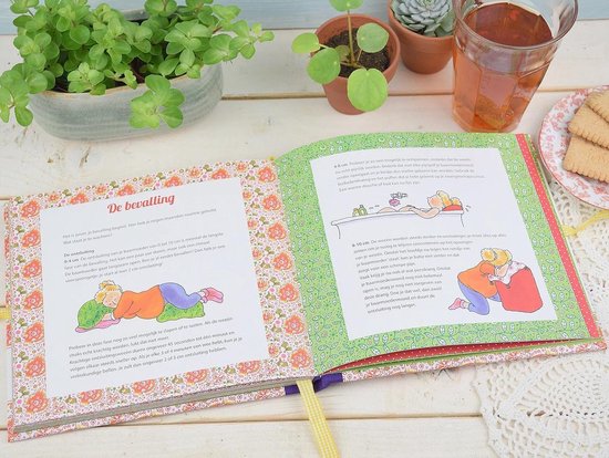 Bol Com Zwangerschapsdagboek Mijn 9 Maanden Dagboek Pauline Oud Hard Cover