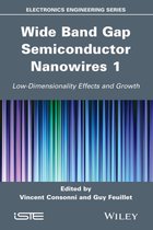 Wide Band Gap Semiconductor Nanowires for Optical Devices