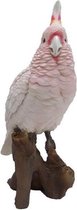 Polystone vogel dierenbeeld roze kaketoe - Decoratie beeldje roze kaketoe 25 cm