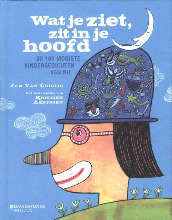 Boek cover Wat je ziet, zit in je hoofd van Jan van Collie (Hardcover)