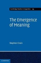 Emergence Of Meaning