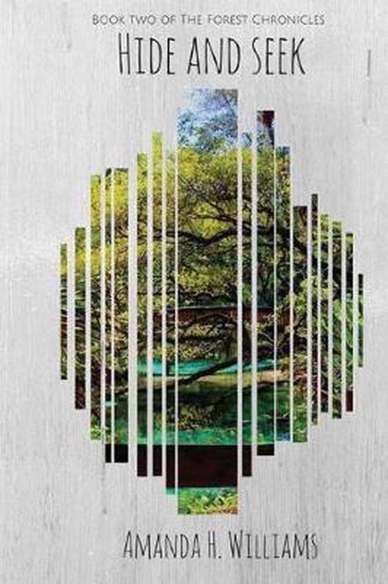 Hide and Seek - cover