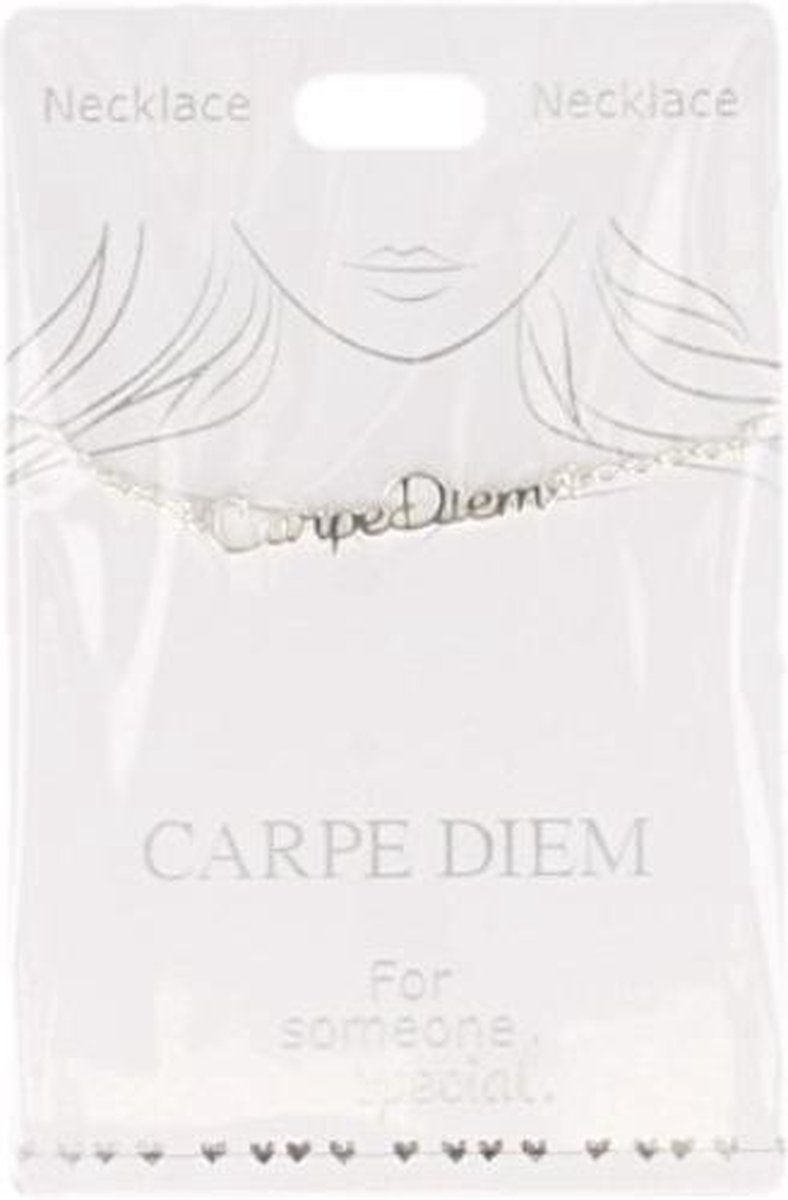 Ketting Carpe Diem, silver plated