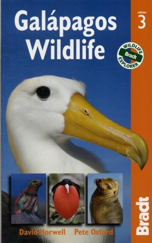 Galapagos Wildlife
