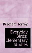 Everyday Birds