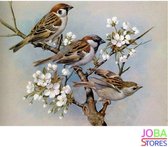 Peinture au diamant "JobaStores®" Sparrows - complète - 50x40cm