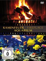 Fireplace/Aquarium