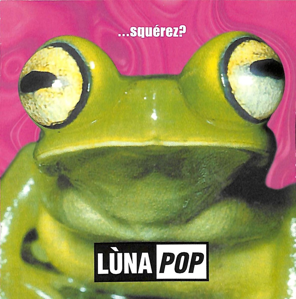 ...Squérez?