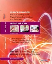 Practical Techniques of Physiotherapy Examination and Treatment of the Pelvis and Hip