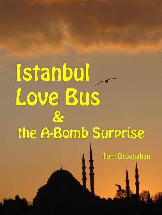 Istanbul Love Bus - cover