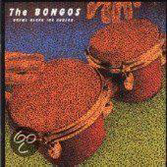 Drums Along The Hudson, Bongos CD (album) Muziek