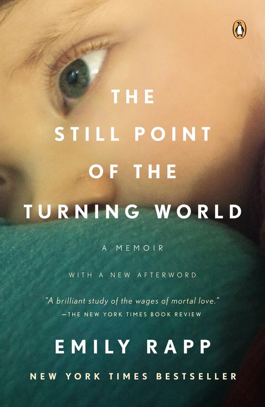 The Still Point of the Turning World - cover