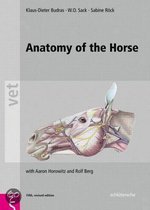 Anatomy Of The Horse