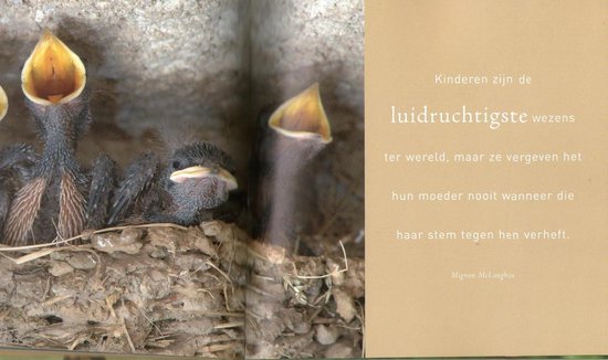 Drie kuikentjes met hun bekjes open in een nest, met de tekst "Kinderen zijn de luidruchtigste wezens ter wereld, maar ze vergeven het hun moeder nooit wanneer die haar stem tegen hen verheft."