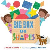 Basic Concepts- Big Box of Shapes
