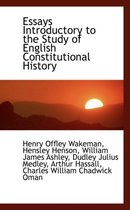 Essays Introductory to the Study of English Constitutional History