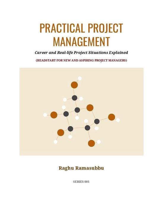 Practical Project Management - cover