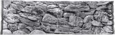 Aquarium-Terrarium achterwand type Rock Grijs 150*50 in 2 delen