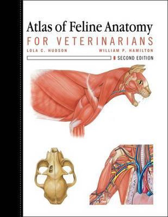 Atlas of Feline Anatomy for Veterinarians - cover