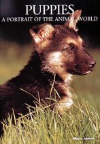 Puppies